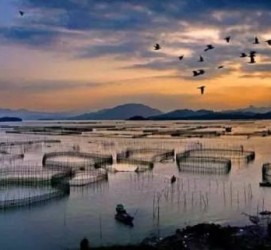 磁县伴游中国网景点丰富(旅游网介绍)