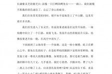 磁县旅游感想(张家界旅游感想)