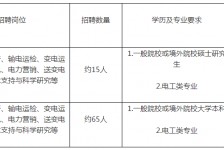 磁县重庆有雇用伴游外围吗(高端外围伴游雇用一单一结)