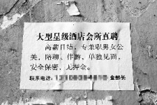 磁县珠海伴游雇用网(珠海游览社雇用信息)