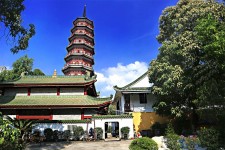 磁县广州自由行(广州 自由行)