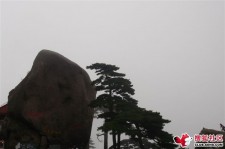 磁县上海伴游私家陪游雇用女模(上海伴游私家陪游雇用女模特)