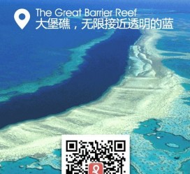磁县中国250家旅行社结伴游新西兰(新西兰当地旅行社)