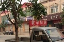 磁县上海伴游 用伴游造句大全(5