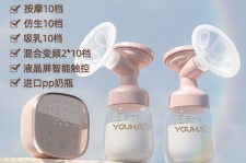 磁县奶模(奶模型)