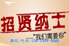磁县酒店雇用伴游(酒店雇用伴游办事员)