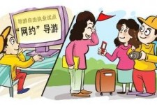 磁县伴游是什么