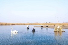磁县南昌附近伴游小妹兼职(1534939978姐的微信德惠市)