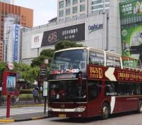 磁县上海私人伴游 上海过年怎么玩？这些“微游”线路了解下→