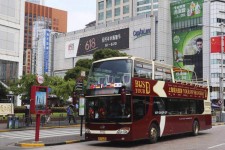 磁县上海私人伴游 上海过年怎么玩？这些“微游”线路了解下→