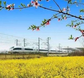 磁县高铁游(高铁游戏下载手机版)