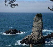 磁县旅游全攻略(上海旅游全攻略)
