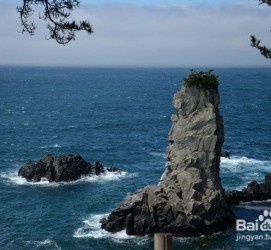 磁县旅游全攻略(上海旅游全攻略)