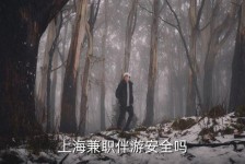 磁县上海私人伴游 上海伴游，上海兼职伴游安全吗