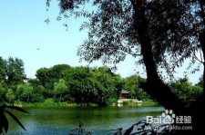 磁县西湖旅游攻略(上海到杭州西湖旅游攻略)