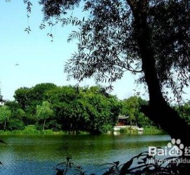磁县西湖旅游攻略(上海到杭州西湖旅游攻略)