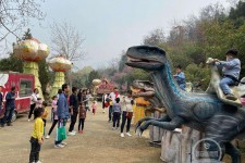 磁县中国伴游带你打卡网红南山竹海(南山竹海网上预约)