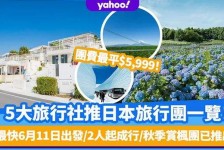 磁县旅游价格(旅游价格机制)