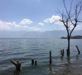 磁县洱海旅游攻略(洱海旅游攻略自由行)