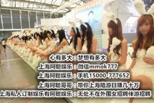 磁县雇用旅游男伴游(北京商务酒店雇用伴游)