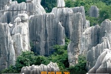 磁县贵阳市游览社英语伴游雇用(贵阳市前十名游览社是哪几家)