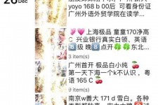 磁县外围伴游雇用圈套(雇用伴游什么样子的是实的)