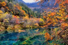 磁县四川旅游攻略(四川旅游攻略十五日游)
