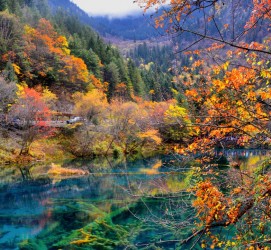 磁县四川旅游攻略(四川旅游攻略十五日游)