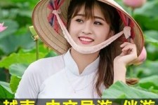 磁县日本关东伴游中国(日本关西旅行)