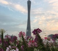 磁县广州旅游攻略(杭州到广州旅游攻略)