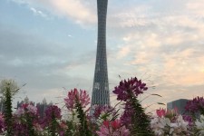 磁县广州旅游攻略(杭州到广州旅游攻略)