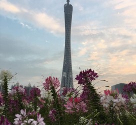 磁县广州旅游攻略(杭州到广州旅游攻略)
