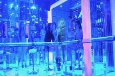 磁县上海伴游 [视频]曝伴游行业内幕：白天陪玩晚上陪睡
