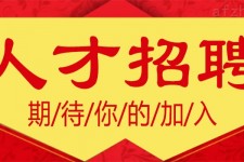 磁县上海伴游招聘 招聘 | 浦东机场专柜销售