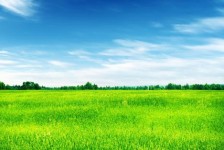 磁县上海伴游 上海模特伴游微信号的交友宣言