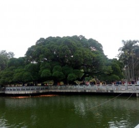 磁县福州旅游攻略(福州旅游攻略二日游)