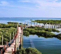磁县旅游哪里好玩(云南旅游哪里好玩)