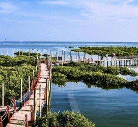 磁县旅游哪里好玩(云南旅游哪里好玩)