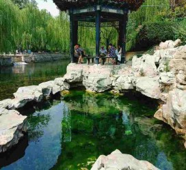磁县济南旅游攻略(青岛威海济南旅游攻略)