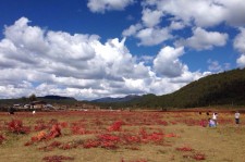 磁县旅游去处(暑期最好的旅游去处)