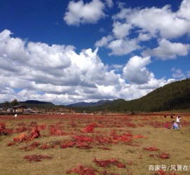 磁县旅游去处(暑期最好的旅游去处)