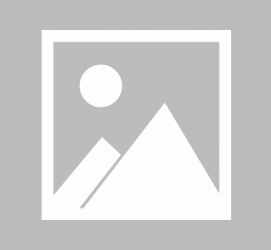 磁县私人伴游 黄金周里动“黄”经 天津又现“私人陪游”逆流