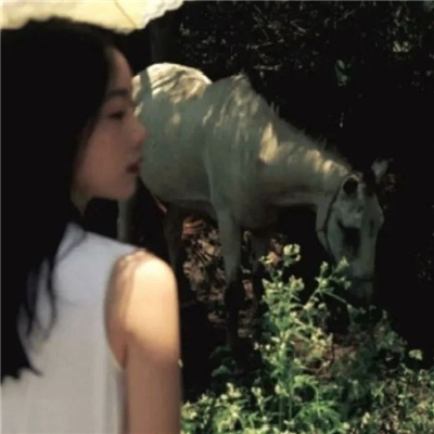 磁县私家伴游让你拥有一次完美的旅游体验